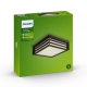 PHILIPS stropní svítidlo myGarden Moonshine 2xE27 IP44 ;antracit