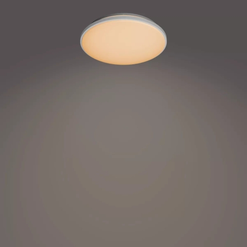 PHILIPS stropní svítidlo Wincel CL630 AIO RD 24W 27-40-65K WF RC