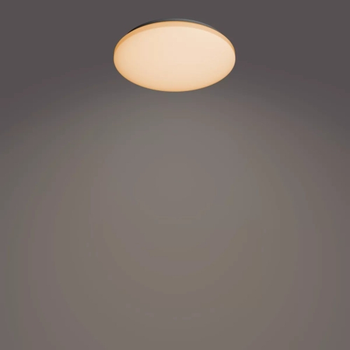 PHILIPS svítidlo stropní Izso CL620 AIO RD 24W 27-40-65K W RC