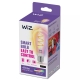 PHILIPS WiZ filam.bulb ST64 6.3W/40W E27 RGB 470lm Dim čirá
