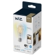 PHILIPS WiZ filam.bulb ST64 7W/60W E27 TW 806lm Dim