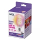 PHILIPS WiZ filam.globe G95 6.3W/40W E27 RGB 470lm Dim čirá