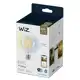 PHILIPS WiZ globe G95 7W/60W E27 TW 806lm Dim˙