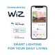 PHILIPS WiZ lustre P45 4.9W/40W E27 RGB 470lm Dim