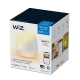 PHILIPS WiZ svít.stolní.LED Squire 9W 620lm/822-65/RGB IP20 ; bílá
