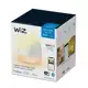 PHILIPS WiZ svít.stolní.LED Squire 9W 620lm/822-65/RGB IP20 ; bílá