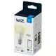 PHILIPS WiZ žárovka A60 8W/60W E27 2700K 806lm Dim˙