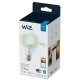 PHILIPS WiZ žárovka A67 13W/100W E27 TW 1521lm Dim˙